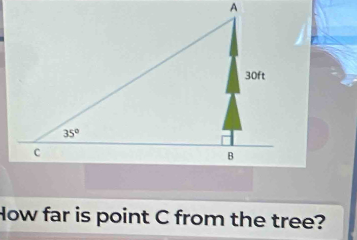 How far is point C from the tree?