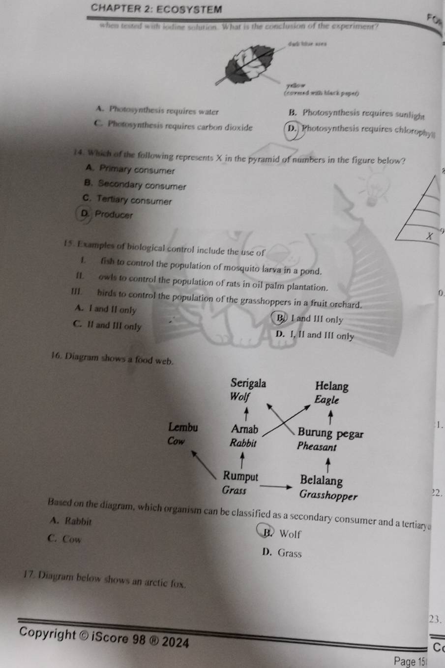 CHAPTER 2: ECOSYSTEM
FOR
when tested with lodine solution. What is the conclusion of the experiment?
dgls Rse ase n
y eo w
(covesed with black papet)
A. Photosynthesis requires water B. Photosynthesis requires sunlight
C. Photosynthesis requires carbon dioxide D. Photosynthesis requires chlorophy
14. Which of the following represents X in the pyramid of numbers in the figure below?
A. Primary consumer
B. Secondary consumer
C. Tertiary consumer
D. Producer
15. Examples of biological control include the use of
I. fish to control the population of mosquito larva in a pond.
fL owls to control the population of rats in oil palm plantation.
0
III. birds to control the population of the grasshoppers in a fruit orchard.
A. I and II only B I and III only
C. Il and III only D. I, II and III only
16. Diagram shows a food web.
1.
22.
Based on the diagram, which organism can be classified as a secondary consumer and a tertiary
A. Rabbit B. Wolf
C. Cow D. Grass
17. Diagram below shows an arctic fox.
23.
Copyright © iScore 98 ® 2024
C
Page 15