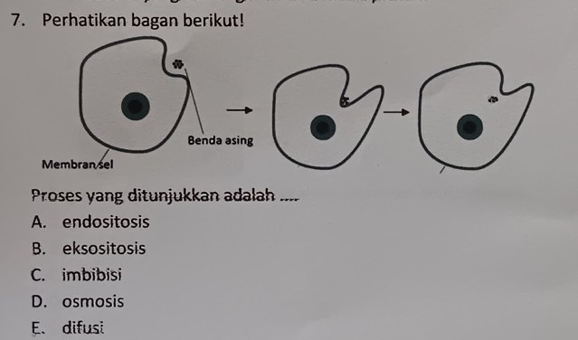 Perhatikan bagan berikut!
Proses yang ditunjukkan adalah ....
A. endositosis
B. eksositosis
C. imbibisi
D. osmosis
E. difusi