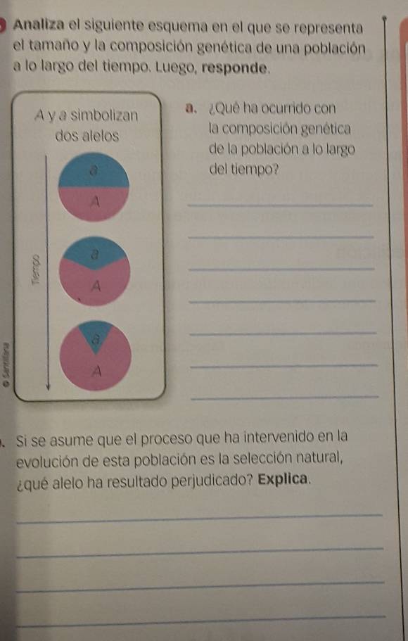 Analiza el siguiente esquema en el que se representa 
el tamaño y la composición genética de una población 
a lo largo del tiempo. Luego, responde. 
a. ¿Qué ha ocurrido con 
la composición genética 
de la población a lo largo 
del tiempo? 
_ 
_ 
_ 
_ 
_ 
E 
_ 
_ 
. Si se asume que el proceso que ha intervenido en la 
evolución de esta población es la selección natural, 
¿qué alelo ha resultado perjudicado? Explica. 
_ 
_ 
_ 
_