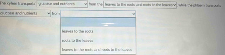 The xylem transports glucose and nutrients from the leaves to the roots and roots to the leaves ✔ , while the phloem transports
glucose and nutrients from
leaves to the roots
roots to the leaves
leaves to the roots and roots to the leaves