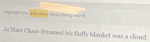 Highlight the adjective (describing word). 
Ja'Marr Chase dreamed his fluffy blanket was a cloud.