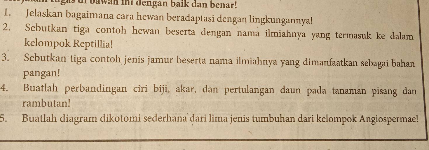 gas di bawan ini dengan baik dan benar! 
1. Jelaskan bagaimana cara hewan beradaptasi dengan lingkungannya! 
2. Sebutkan tiga contoh hewan beserta dengan nama ilmiahnya yang termasuk ke dalam 
kelompok Reptillia! 
3. Sebutkan tiga contoh jenis jamur beserta nama ilmiahnya yang dimanfaatkan sebagai bahan 
pangan! 
4. Buatlah perbandingan ciri biji, akar, dan pertulangan daun pada tanaman pisang dan 
rambutan! 
5. Buatlah diagram dikotomi sederhana dari lima jenis tumbuhan dari kelompok Angiospermae!