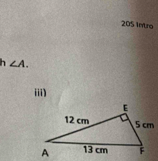 205 Intro
h∠ A. 
iii)