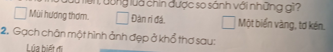 iên, đông lua chin được so sánh với những gì?
Mùi hương thơm. Đàn ri đá. Một biển vàng, tơ kén.
2. Gạch chân một hình ảnh đẹp ở khổ thơ sau:
Lúa biết đi