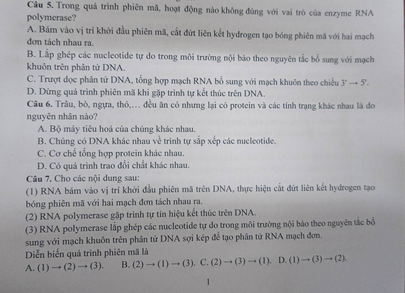 Trong quá trình phiên mã, hoạt động nào không đúng với vai trò của enzyme RNA
polymerase?
A. Bám vào vị trí khởi đầu phiên mã, cắt đứt liên kết hydrogen tạo bóng phiên mã với hai mạch
đơn tách nhau ra.
B. Lắp ghép các nucleotide tự do trong môi trường nội bào theo nguyên tắc bổ sung với mạch
khuôn trên phân tử DNA.
C. Trượt dọc phân tử DNA, tổng hợp mạch RNA bổ sung với mạch khuôn theo chiều 3'to 5'.
D. Dừng quá trình phiên mã khi gặp trình tự kết thúc trên DNA.
Câu 6. Trâu, bò, ngựa, thỏ,.. đều ăn cỏ nhưng lại có protein và các tính trạng khác nhau là do
nguyên nhân nào?
A. Bộ máy tiêu hoá của chúng khác nhau.
B. Chúng có DNA khác nhau về trình tự sắp xếp các nucleotide.
C. Cơ chế tổng hợp protein khác nhau.
D. Có quá trình trao đổi chất khác nhau.
Câu 7. Cho các nội dung sau:
(1) RNA bám vào vị trí khởi đầu phiên mã trên DNA, thực hiện cắt đứt liên kết hydrogen tạo
bóng phiên mã với hai mạch đơn tách nhau ra.
(2) RNA polymerase gặp trình tự tín hiệu kết thúc trên DNA.
(3) RNA polymerase lắp ghép các nucleotide tự do trong môi trường nội bào theo nguyên tắc bổ
sung với mạch khuôn trên phân tử DNA sợi kép để tạo phân tử RNA mạch đơn.
Diễn biến quá trình phiên mã là
A. (1)to (2)to (3). B. (2)to (1 )to (3) C. (2)to (3)to (1). D. (1)to (3)to (2).
1