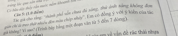 trong 
trúng lóc qua sân nhà 
Có bữa dậy thấy rắn nước nằm khoanh tìn 
Tác giả cho rằng: “thành phố vẫn chưa đủ sáng, thứ ánh sáng không đơn 
Câu 5: (1.0 điểm) 
giản chi là treo thật nhiều đèn màu chớp nháy”. Em có đồng ý với ý kiến của tác 
giả không? Vì sao? (Trình bày bằng một đoạn văn từ 5 đến 7 dòng). 
0 diểm) va em về vấn đề rác thải nhựa