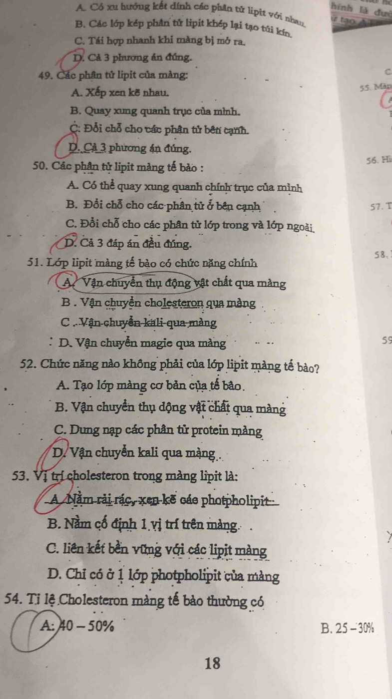 hính là đưì
A. Có xu hướng kết đính các phân tử lipit với nhau, ử tạo
B. Các lớp kép phân tử lipít khép lại tạo túi kín.
C. Tái hợp nhanh khi màng bị mở ra.
D. Cả 3 phương án đúng.
49. Các phân tử lipit của màng:
C
A. Xếp xen kẽ nhau. 55. Màn
B. Quay xung quanh trục của mình.
C: Đổi chỗ cho các phân tử bên cạnh.
D. Cả 3 phương án đúng.
50. Các phân tử lipit màng tế bào : 56. Hi
A. Có thể quay xung quanh chính trục của mình
B. Đổi chỗ cho các phân tử ở bên cạnh 57.T
C. Đổi chỗ cho các phân tử lớp trong và lớp ngoài.
D. Cả 3 đáp án đầu đúng.
51. Lớp lipit màng tế bào có chức nặng chính 58,
A Vận chuyển thụ động vật chất qua màng
B. Vận chuyển cholesteron qua màng
C  Vận chuyển kali qua màng
D. Vận chuyển magie qua màng
59
52. Chức năng nào không phải của lớp lipit màng tế bào?
A. Tạo lớp màng cơ bản của tế bảo.
B. Vận chuyển thụ dộng vật chất qua màng
C. Dung nạp các phân tử protein màng
D. Vận chuyển kali qua màng .
53. Vị trí cholesteron trong màng lipit là:
A Nằm rải rác, xen kẽ các photpholipit
B. Nằm cố định 1.vị trí trên màng.
C. liên kết bền vững với các lipit màng
D. Chỉ có ở 1 lớp photpholipit của màng
54. Ti lệ Cholesteron màng tế bào thường có
A: 40 - 50% B. 25 - 30%
18