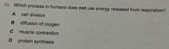 Which process in humans does not use energy released from respiration?
A cell division
B diffusion of oxygen
C muscle contraction
D protein synthesis