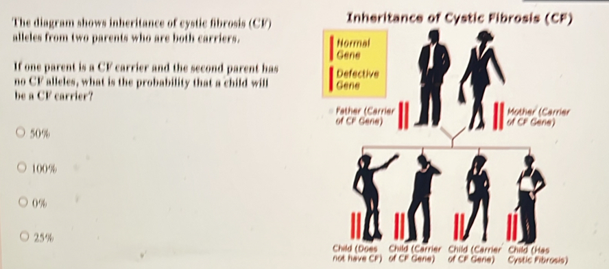 Solved: The diagram shows inheritance of cystic fibrosis (CF ...