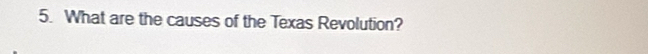 What are the causes of the Texas Revolution?