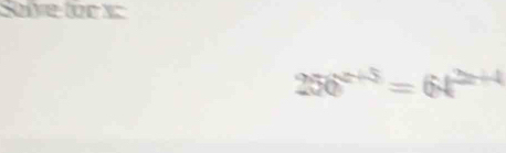 Selock
256^(x+5)=64^(2x+4)