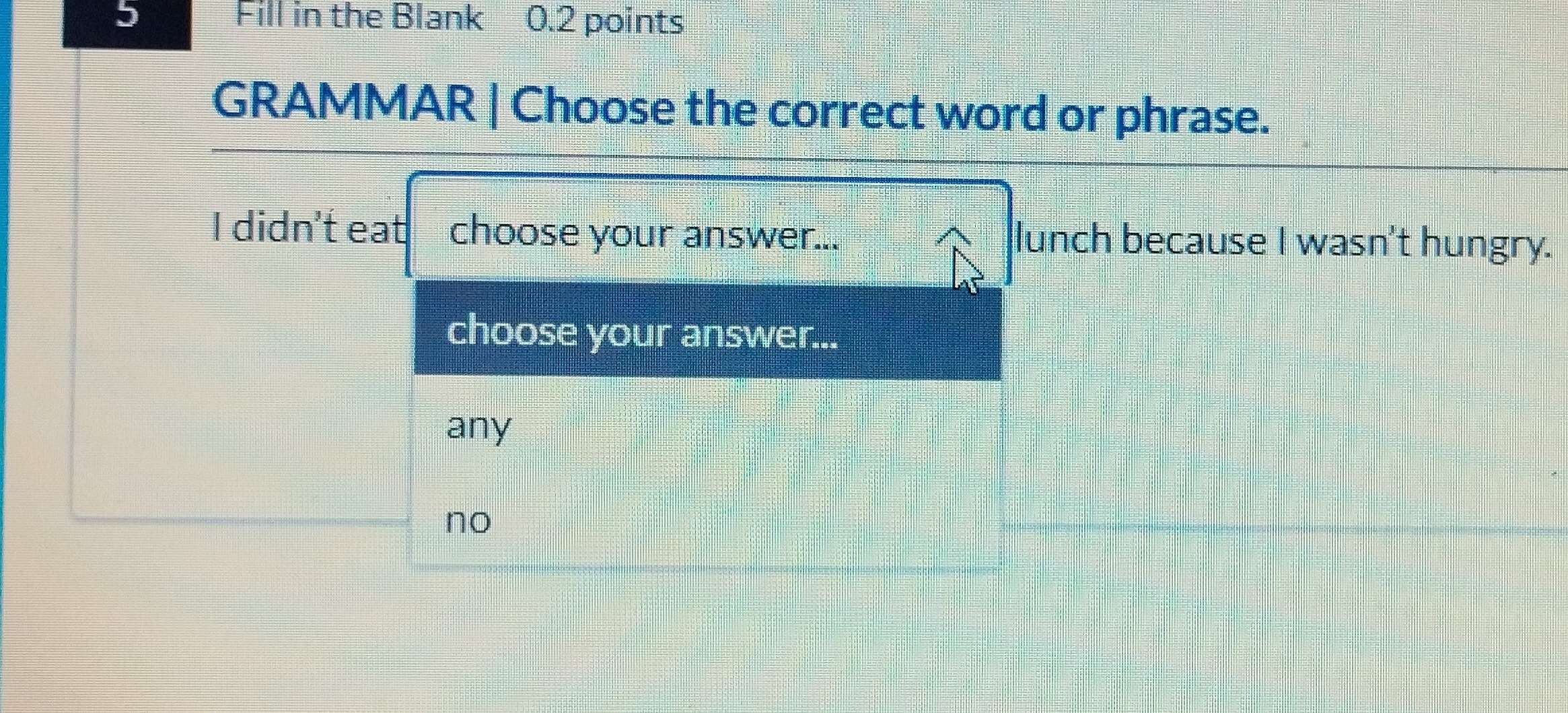 Fill in the Blank 0.2 points
GRAMMAR | Choose the correct word or phrase.
I didn't eat choose your answer... lunch because I wasn't hungry.
choose your answer...
any
no