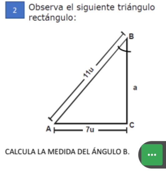 Observa el siguiente triángulo 
rectángulo: 
CALCULA LA MEDIDA DEL ÁNGULO B.