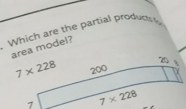 Which are the partial product
area model?