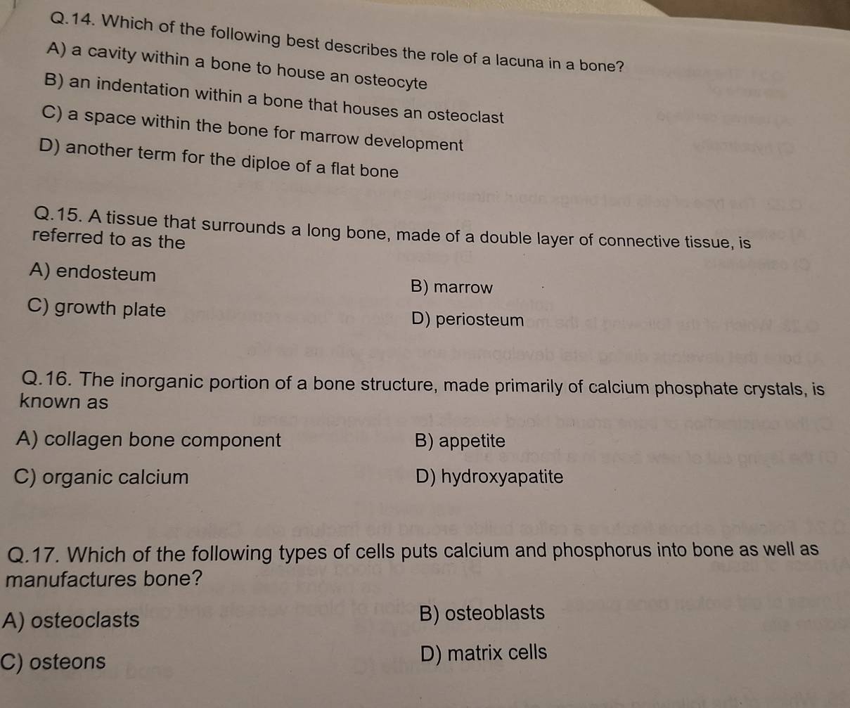 Which of the following best describes the role of a lacuna in a bone?
A) a cavity within a bone to house an osteocyte
B) an indentation within a bone that houses an osteoclast
C) a space within the bone for marrow development
D) another term for the diploe of a flat bone
Q.15. A tissue that surrounds a long bone, made of a double layer of connective tissue, is
referred to as the
A) endosteum
B) marrow
C) growth plate D) periosteum
Q.16. The inorganic portion of a bone structure, made primarily of calcium phosphate crystals, is
known as
A) collagen bone component B) appetite
C) organic calcium D) hydroxyapatite
Q.17. Which of the following types of cells puts calcium and phosphorus into bone as well as
manufactures bone?
A) osteoclasts B) osteoblasts
C) osteons D) matrix cells