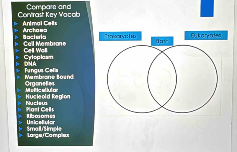 Compare and 
Contrast Key Vocab 
Animal Cells 
Archaea 
Bacteria 
Cell Membrane 
Cell Wall 
Cytoplasm 
DNA 
Fungus Cells 
Membrane Bound 
Organelles 
Multicellular 
Nucleoid Region 
Nucleus 
Plant Cells 
Ribosomes 
Unicellular 
Small/Simple 
Large/Complex