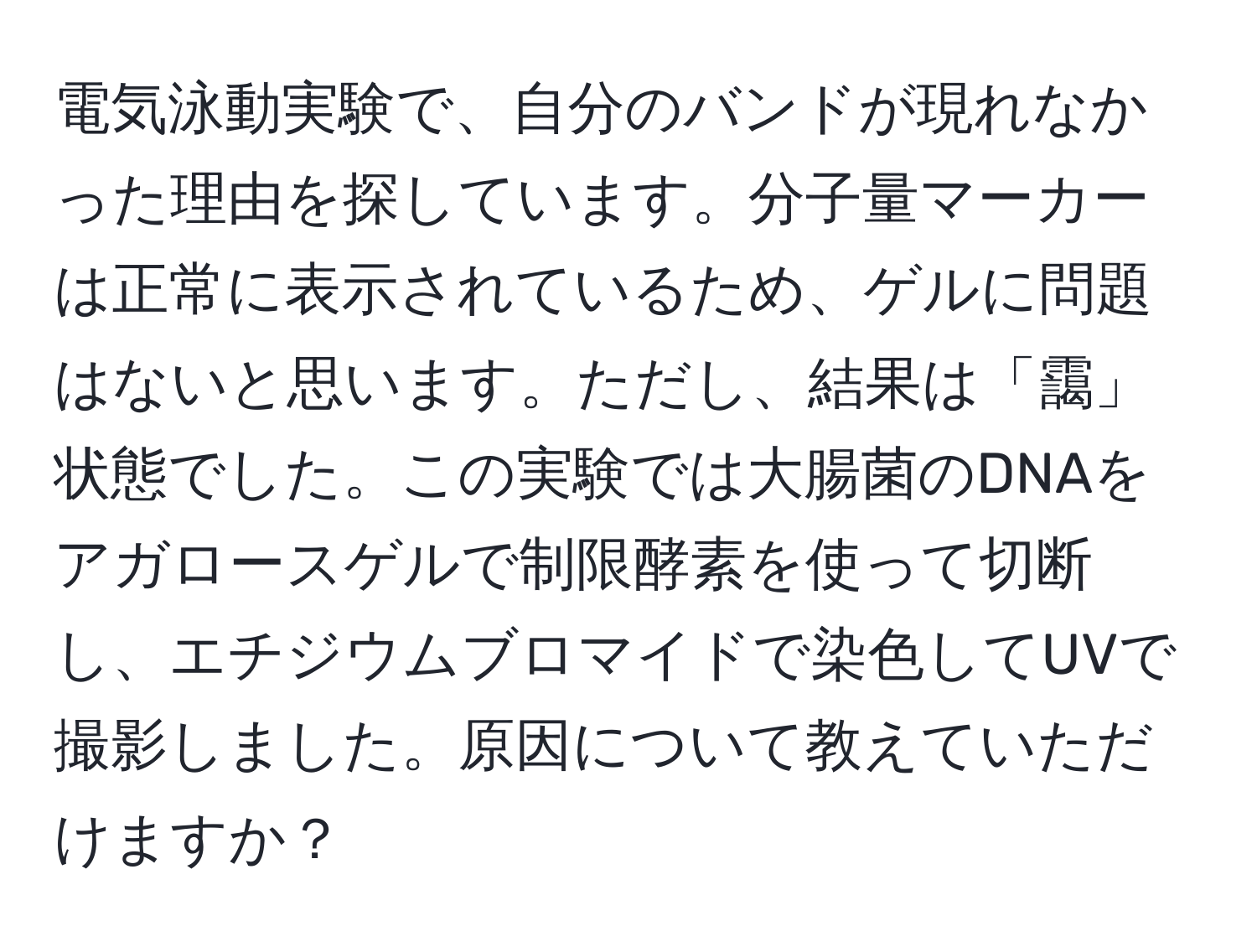 電気泳動実験で、自分のバンドが現れなかった理由を探しています。分子量マーカーは正常に表示されているため、ゲルに問題はないと思います。ただし、結果は「靄」状態でした。この実験では大腸菌のDNAをアガロースゲルで制限酵素を使って切断し、エチジウムブロマイドで染色してUVで撮影しました。原因について教えていただけますか？