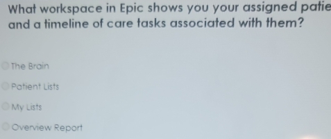 What workspace in Epic shows you your assigned patie and a timeline of ...