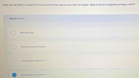 Dave has decided to budget his money and never spend more than he makes. What is Dave's budgeting strategy called?
Multiple Chaice
Net cash flow
Saving and spending plan
Consumption adjuatment
Sistainable consumption