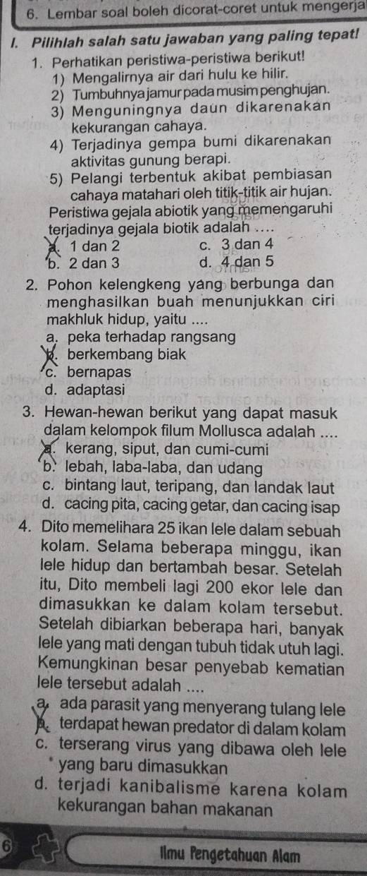 Lembar soal boleh dicorat-coret untuk mengerja
l. Pilihlah salah satu jawaban yang paling tepat!
1. Perhatikan peristiwa-peristiwa berikut!
1) Mengalirnya air dari hulu ke hilir.
2) Tumbuhnya jamur pada musim penghujan.
3) Menguningnya daun dikarenakan
kekurangan cahaya.
4) Terjadinya gempa bumi dikarenakan
aktivitas gunung berapi.
5) Pelangi terbentuk akibat pembiasan
cahaya matahari oleh titik-titik air hujan.
Peristiwa gejala abiotik yang memengaruhi
terjadinya gejala biotik adalah ..... 1 dan 2 c. 3 dan 4
b. 2 dan 3 d. 4 dan 5
2. Pohon kelengkeng yang berbunga dan
menghasilkan buah menunjukkan ciri
makhluk hidup, yaitu ....
a. peka terhadap rangsang. berkembang biak
c. bernapas
d. adaptasi
3. Hewan-hewan berikut yang dapat masuk
dalam kelompok filum Mollusca adalah ....
a. kerang, siput, dan cumi-cumi
b. lebah, laba-laba, dan udang
c. bintang laut, teripang, dan landak laut
d. cacing pita, cacing getar, dan cacing isap
4. Dito memelihara 25 ikan lele dalam sebuah
kolam. Selama beberapa minggu, ikan
lele hidup dan bertambah besar. Setelah
itu, Dito membeli lagi 200 ekor lele dan
dimasukkan ke dalam kolam tersebut.
Setelah dibiarkan beberapa hari, banyak
lele yang mati dengan tubuh tidak utuh lagi.
Kemungkinan besar penyebab kematian
lele tersebut adalah ....
ar ada parasit yang menyerang tulang lele
b terdapat hewan predator di dalam kolam
c. terserang virus yang dibawa oleh lele
yang baru dimasukkan
d. terjadi kanibalisme karena kolam
kekurangan bahan makanan
6
Ilmu Pengetahuan Alam