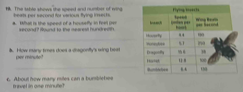 The table shows the speed and number of wing 
beats per second for various flying insects. 
a. What is the speed of a heusefly in feet per
second? Round to the nearest hundredth. 
b. How many times does a dragonfly's wing beat 
per minute? 
c. About how many miles can a bumblebee 
travel in one minute?