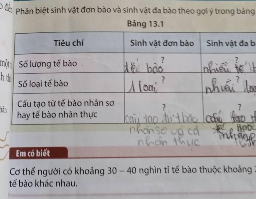 Phân biệt sinh vật đơn bào và sinh vật đa bào theo gợi ý trong bảng 
b 
mộ
h
hà 
Em có biết 
Cơ thể người có khoảng g 30 - 40 nghìn tỉ tế bào thuộc khoảng : 
tế bào khác nhau.