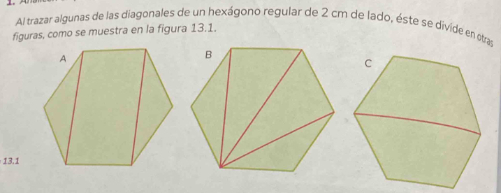 Al trazar algunas de las diagonales de un hexágono regular de 2 cm de lado, éste se divide en otras 
figuras, como se muestra en la figura 13.1.
13.1