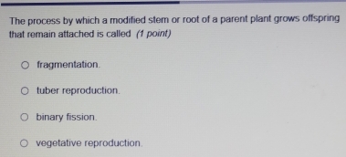 The process by which a modified stem or root of a parent plant grows offspring
that remain attached is called (1 point)
fragmentation.
tuber reproduction.
binary fission.
vegetative reproduction.