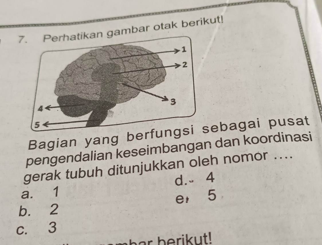 ambar otak berikut!
Bagian yang berfebagai pusat
pengendalian keseimbangan dan koordinasi
gerak tubuh ditunjukkan oleh nomor ....
d. 4
a. 1
b. 2 e， 5
c. 3