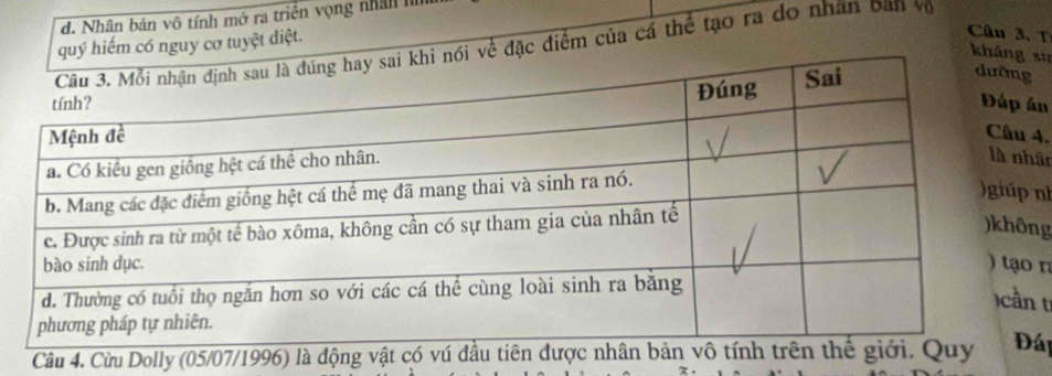 d. Nhân bản vô tính mở ra triển vọng nhân l
hiếm có nguy cơ tuyệt điệt.
Cân 3. T
đặc điểm của cá thể tạo ra do nhân ban vũ
su
n
4.
ân
ni
g
n

Câu 4. Cừu Dolly (05/07/1996) làáp