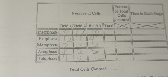 Total Cells Counted …….