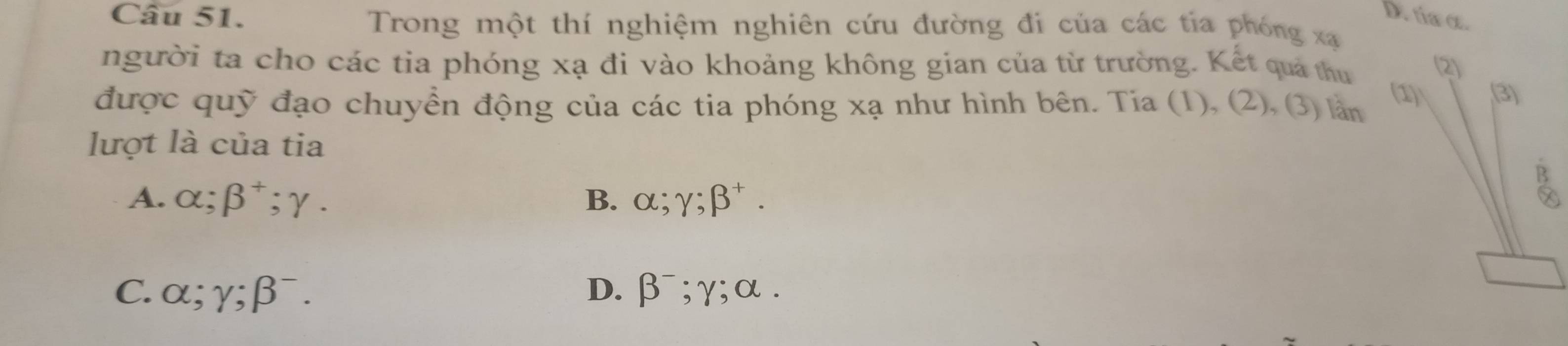 D. tiæ α.
Câu 51. Trong một thí nghiệm nghiên cứu đường đi của các tía phóng xạ
người ta cho các tia phóng xạ đi vào khoảng không gian của từ trường. Kết quả thu
(2)
được quỹ đạo chuyển động của các tia phóng * a như hình bên. Tia (1), (2), (3) lần
(1) (3)
lượt là của tia
A. alpha; beta^+; gamma. B. alpha; gamma; beta^+.

C. alpha; gamma; beta^-. D. beta^-; gamma; alpha.