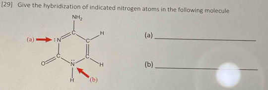 [29] Give the hybridization of indicated nitrogen atoms in the following molecule
(a)_
(b)_