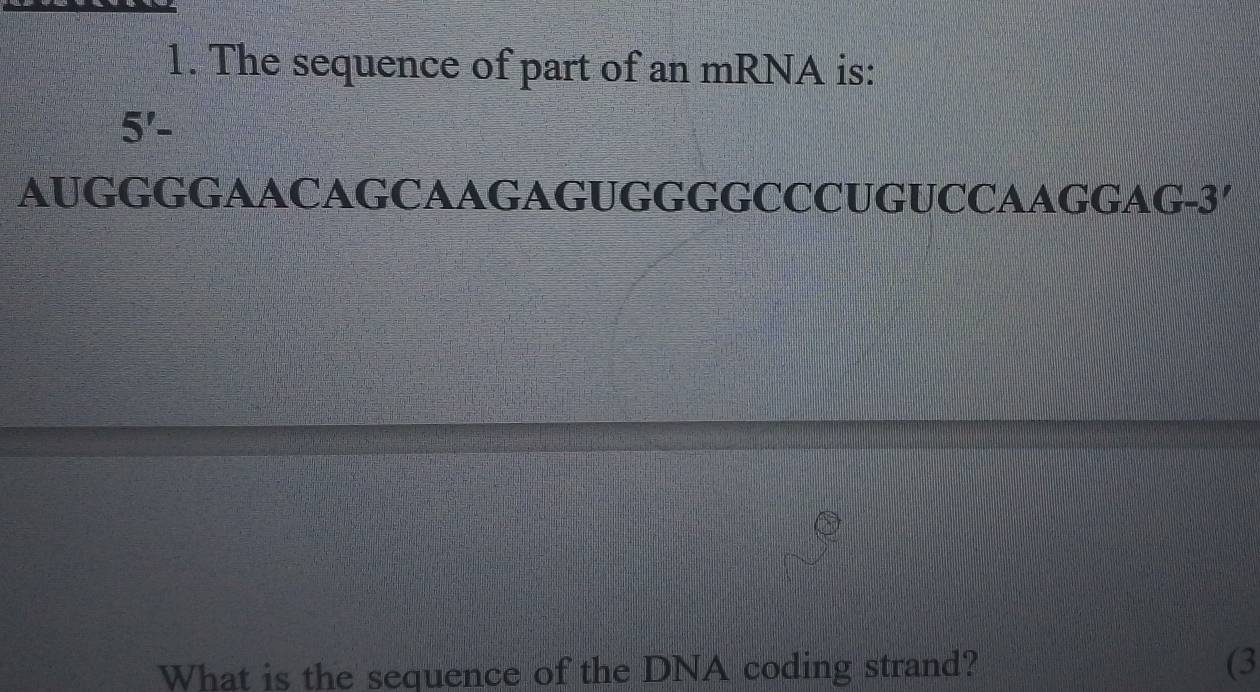 The sequence of part of an mRNA is:
5'-
AUGGGGAACAGCAAGAGUGGGGCCCUGUCCAAGGAG-3′ 
What is the sequence of the DNA coding strand? (3