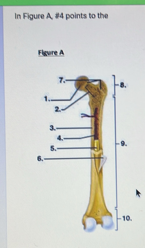 In Figure A, #4 points to the 
Figure A 
.