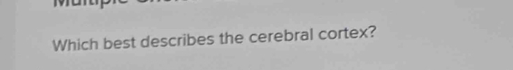 Which best describes the cerebral cortex?