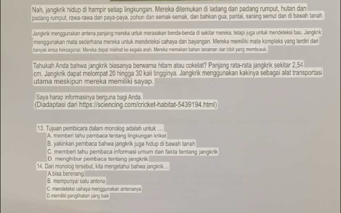 Nah, jangkrik hidup di hampir setiap lingkungan. Mereka ditemukan di ladang dan padang rumput, hutan dan
padang rumput, rawa-rawa dan paya-paya, pohon dan semak-semak, dan bahkan guā, pantai, sarang semut dan di bawah tanah.
Jangkrik menggunakan antena panjang mereka untuk merasakan benda-benda di sekitar mereka, tetapi juga untuk mendeteksí bau. Jangkrik
menggunakan mata sederhana mereka untuk mendeteksi cahaya dan bayangan. Mereka memiliki mata kompleks yang terdiri dari
banyak lensa heksagonal. Mereka dapat melihat ke segala arah. Mereka memakan bahan tanaman dan bibit yang membusuk.
Tahukah Anda bahwa jangkrik biasanya berwarna hitam atau cokelat? Panjang rata-rata jangkrik sekitar 2,54
cm. Jangkrik dapat melompat 20 hingga 30 kali tingginya. Jangkrik menggunakan kakinya sebagai alat transportasi
utama meskipun mereka memiliki sayap.
Saya harap informasinya berguna bagi Anda.
(Diadaptasi dari https://sciencing.com/cricket-habitat-5439194.html)
13. Tujuan pembicara dalam monolog adalah untuk ....
A. memberi tahu pembaca tentang lingkungan kriket
B. yakinkan pembaca bahwa jangkrik juga hidup di bawah tanah
C. memberi tahu pembaca informasi umum dan fakta tentang jangkrik
D. menghibur pembaca tentang jangkrik
14. Dari monolog tersebut, kita mengetahui bahwa jangkrik....
A.bisa berenang
B. mempunyai satu antena
C. mendeteksi cahaya menggunakan antenanya
D.memiliki penglihatan yang baik