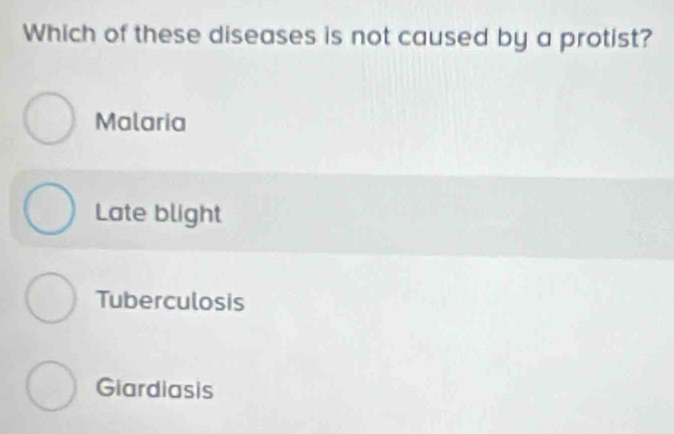 Which of these diseases is not caused by a protist?
Malaria
Late blight
Tuberculosis
Giardiasis