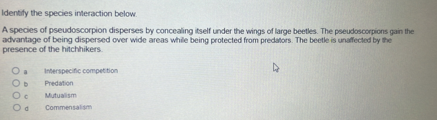 Identify the species interaction below.
A species of pseudoscorpion disperses by concealing itself under the wings of large beetles. The pseudoscorpions gain the
advantage of being dispersed over wide areas while being protected from predators. The beetle is unaffected by the
presence of the hitchhikers.
a Interspecific competition
b Predation
C Mutualism
d Commensalism