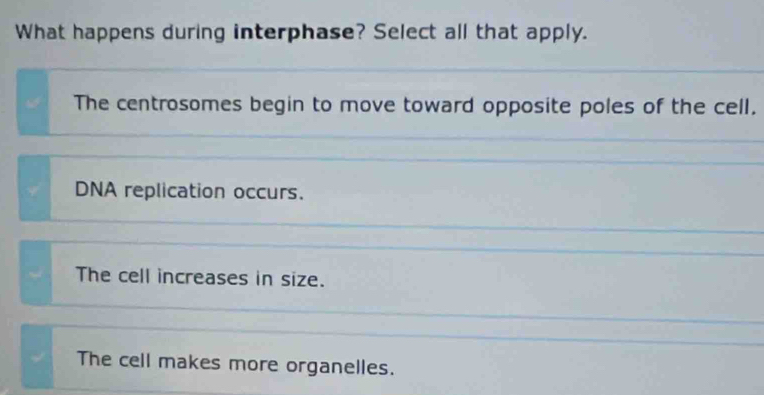 What happens during interphase? Select all that apply.
The centrosomes begin to move toward opposite poles of the cell.
DNA replication occurs.
The cell increases in size.
The cell makes more organelles.