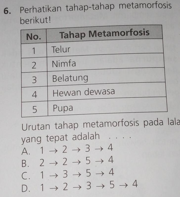 Perhatikan tahap-tahap metamorfosis
berikut!
Urutan tahap metamorfosis pada lala
yang tepat adalah . . . .
A. 1 → 2 → 3 → 4
B. 2 → 2 → 5 → 4
C. 1 → 3 - 5 → 4
D. 1 2 − 3 → 5 → 4