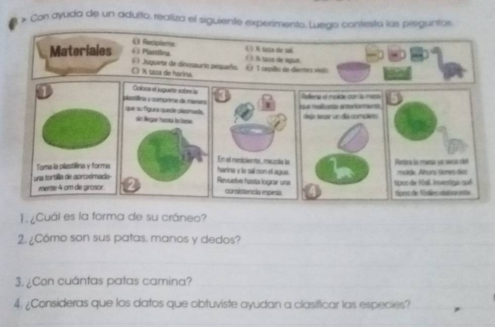 > Con ayuda de un adulto. realiza el siguiente experimento. Luego contesta las preguntos 
《 Reciplents ( ) tata de sal. 
Materiales E Plastilina C ½ tan de spuờt. 
Fi Juguete de dinosaurio pequeño é 1 cepillo de dientes víeio
% taza de harina. 
1 
Golcos el juguetr sobr la 
plastílira y comprime de maners 
que su fígura quede plasmade, 
sn Begar hasta n buse. 
Toma la plastilina y formaPantra la resa yo seca cll 
una tortilla de aproximadamoïde, Ahans lèmes-lkus 
mente 4 cm de grosor.tipos de Súsll, Investigo nué 
tions de fósles itabeste 
1. ¿Cuál es la forma de su cráneo? 
2. ¿Cómo son sus patas. manos y dedos? 
3. ¿Con cuántas patas camina? 
4. ¿Consideras que los datos que obtuviste ayudan a clasificar las especies?