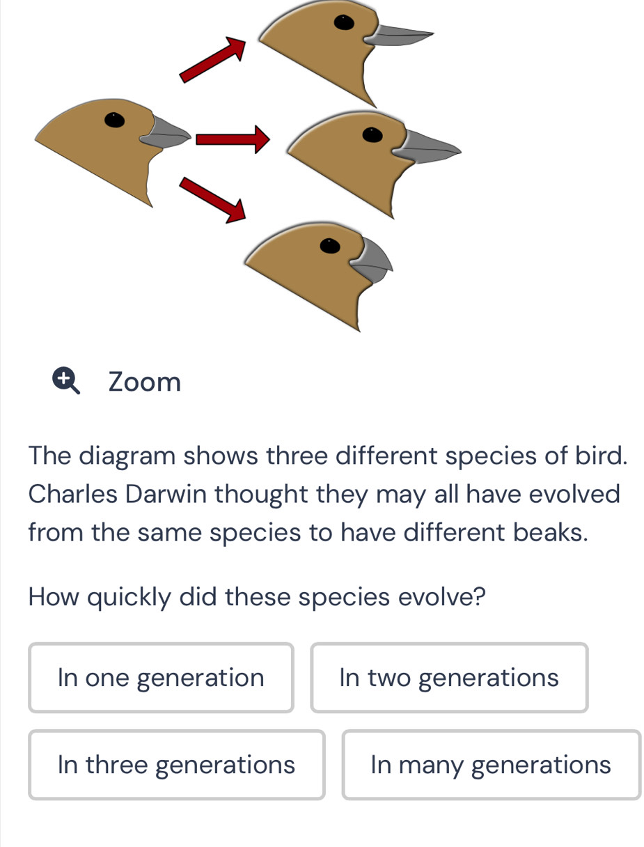 Solved: Zoom The diagram shows three different species of bird. Charles ...