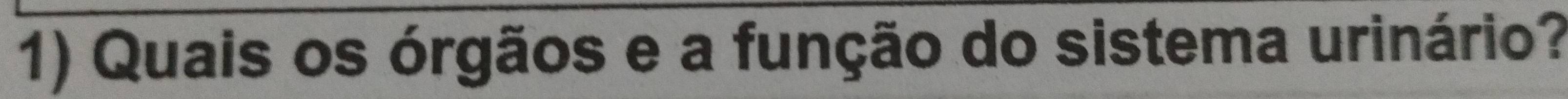 Quais os órgãos e a função do sistema urinário?
