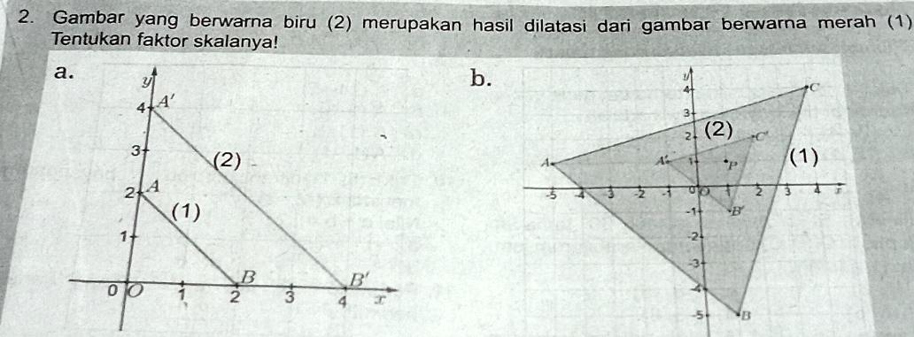 Gambar yang berwarna biru (2) merupakan hasil dilatasi dari gambar berwarna merah (1)
Tentukan faktor skalanya!
a. y
b.
4 A'
3 (2)
2 A
(1) 
1
B B'
0 0 i 2 3 4 x