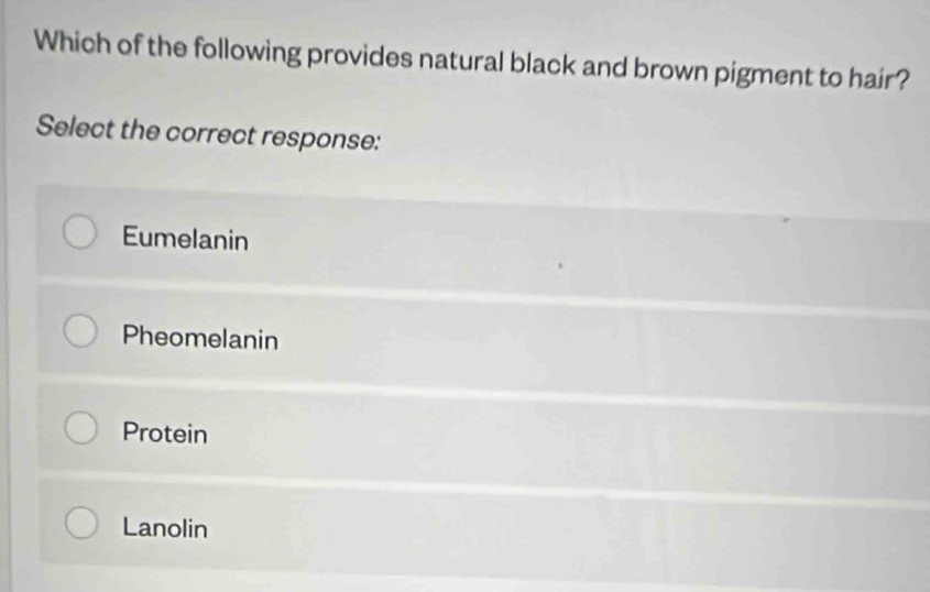 Which of the following provides natural black and brown pigment to hair?
Select the correct response:
Eumelanin
Pheomelanin
Protein
Lanolin