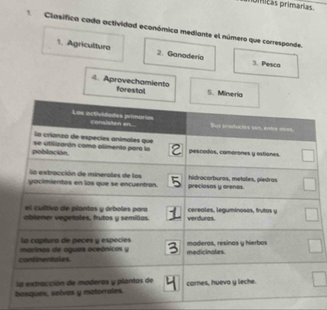 ó micas primarias. 
Clasifica cada actividad económica mediante el número que corresponde. 
1. Agricultura 2. Ganadería 3. Pesca 
4. Aprovechamiento forestal 5. Mineria