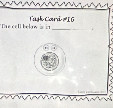 Task Card #16 
_ 
The cell below is in 
.