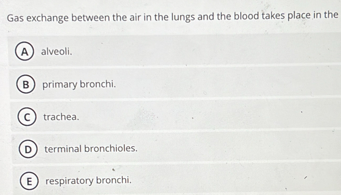 Gas exchange between the air in the lungs and the blood takes place in the
Aalveoli.
Bprimary bronchi.
Ctrachea.
D  terminal bronchioles.
E  respiratory bronchi.